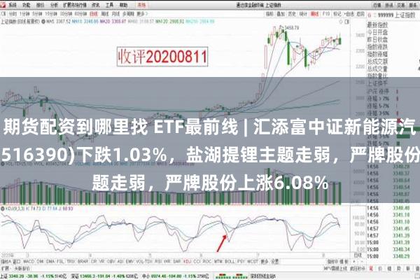 期货配资到哪里找 ETF最前线 | 汇添富中证新能源汽车产业ETF(516390)下跌1.03%，盐湖提锂主题走弱，严牌股份上涨6.08%