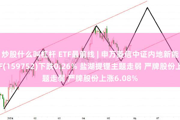 炒股什么叫杠杆 ETF最前线 | 申万菱信中证内地新能源主题ETF(159752)下跌0.26% 盐湖提锂主题走弱 严牌股份上涨6.08%