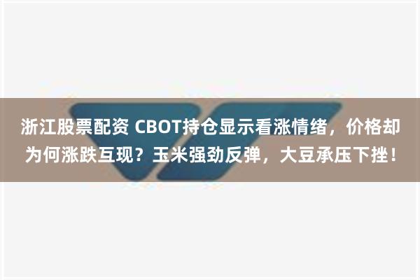 浙江股票配资 CBOT持仓显示看涨情绪，价格却为何涨跌互现？玉米强劲反弹，大豆承压下挫！