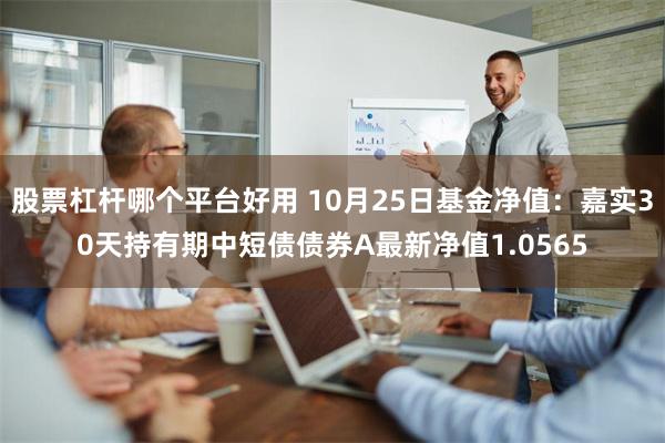 股票杠杆哪个平台好用 10月25日基金净值：嘉实30天持有期中短债债券A最新净值1.0565