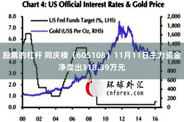 股票的杠杆 同庆楼（605108）11月11日主力资金净卖出318.39万元