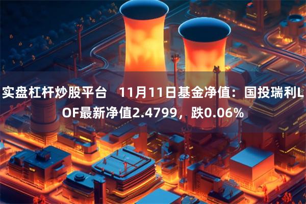 实盘杠杆炒股平台   11月11日基金净值：国投瑞利LOF最新净值2.4799，跌0.06%