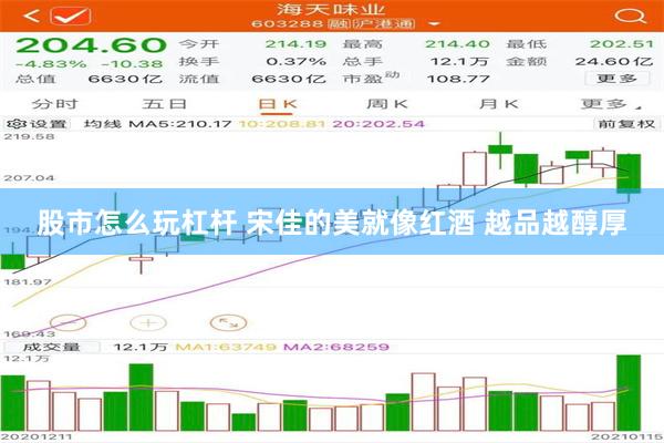 股市怎么玩杠杆 宋佳的美就像红酒 越品越醇厚