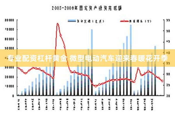 专业配资杠杆黄金 微型电动汽车迎来春暖花开季